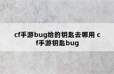 cf手游bug给的钥匙去哪用 cf手游钥匙bug